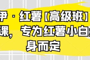伊伊·红薯【高级班】运营课，专为红薯小白量身而定
