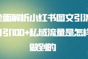 全面解析小红书图文引流日引100+私域流量是怎样做到的【揭秘】