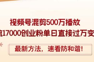 （12391期）精华帖视频号混剪500万播放引流17000创业粉，单日直接过万变现，最新方…
