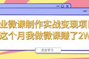 商业微课制作实战变现项目，这个月我做微课赚了2W+