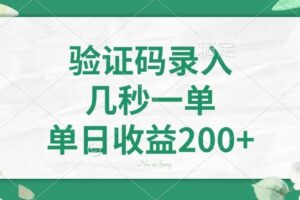 （14221期）验证码录入，几秒一单，单日收益200+