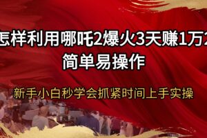 （14245期）怎样利用哪吒2爆火3天赚1万2简单易操作新手小白秒学会抓紧时间上手实操
