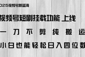 （14310期）视频号短剧挂载功能上线，一刀不剪纯搬运，小白也能轻松日入四位数