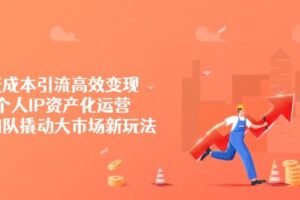 （14555期）低成本引流高效变现，个人IP资产化运营，小团队撬动大市场新玩法