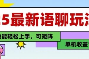 25年最新语聊玩法，纯手工，单机收益100+，小白也能轻松上手，可矩阵操作