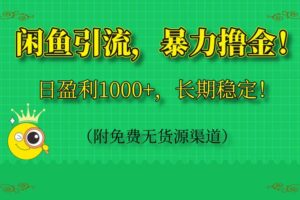 （14647期）闲鱼引流，暴力撸金，日盈利1000+，长期稳定！（附免费无货源渠道）