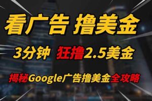 （14701期）看广告，撸美金！！3分钟赚2.5美金！！日入200美金不是梦！揭秘Google…