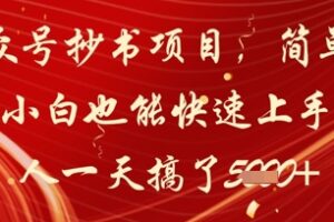 公众号抄书项目，简单粗暴，小白也能快速上手，有人一天搞了1k+
