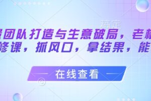 流量团队打造与生意破局，老板流量必修课，抓风口，拿结果，能落地