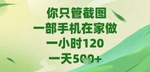 你只管截图，一部手机在家做，苹果安卓都可以，一天5张+【揭秘】