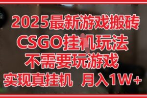 2025最新游戏搬砖，CSGO挂G，不需要玩游戏，实现真挂G，月入1W+【揭秘】
