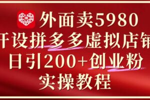外面卖5980开设拼多多虚拟店铺：单日引流200+创业付费粉实战教程
