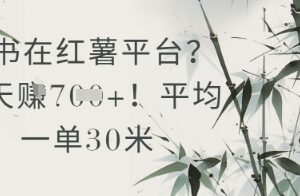 抄书在小红薯平台？平均一单30米，一天收益几张！