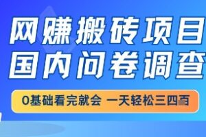 网创搬砖项目，国内问卷调查，小白轻松上手，一天三四张的也不难，干就完了【揭秘】