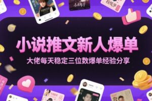 小说推文新人爆单大佬每天稳定三位数爆单经验分享