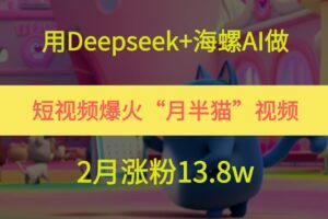 用Deepseek+海螺AI做短视频爆火“月半猫”视频，2月涨粉13.8w