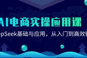 （15075期）AI电商实操应用课：DeepSeek基础与应用，从入门到高效输出