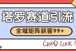 小红书某音塔罗赛道引流获客 自热矩阵日引200+【揭秘】