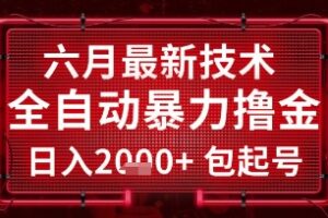 六月最新技术全自动暴力撸金，稳定日入2k+包起号，长期稳定【揭秘】