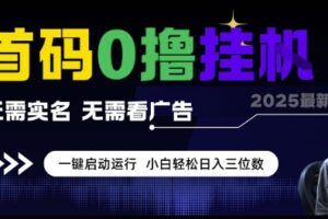 首码0撸挂G项目，无需实名无需看广告 一键启动运行，小白轻松日入三位数【揭秘】