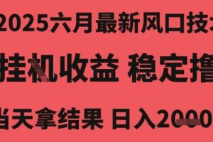 2025六月最新风口技术，无人挂G撸礼物，长期稳定 一个小时收益2k+，小白当天拿结果【揭秘】