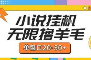 最新小说挂G自撸玩法本人实操单窗口20-50+可矩阵放大操作【揭秘】