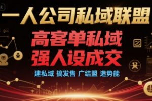 一人公司私域联盟，高客单私域，强人设成交，建私域 搞发售 广结盟 造势能