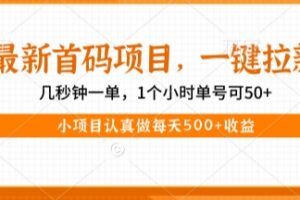最新首码项目，操作最简单，收益高，一键拉新，1个小时单号可50+，小项目认真做每天5张+收益【揭秘】
