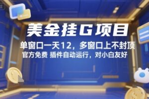 美金挂G项目，单窗口一天12，多窗口上不封顶，官方免费插件自动运行，对小白友好【揭秘】