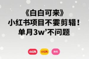 小白可来 小红书项目不需要剪辑 单月3w不是问题