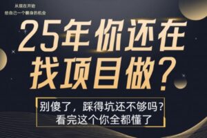 25年，你还在疯狂的找项目吗？别傻了，看完这个你都懂了【揭秘】