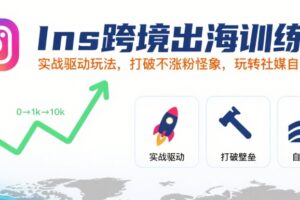 Ins跨境出海训练营，实战驱动玩法，打破不涨粉怪象，玩转社媒自然流量