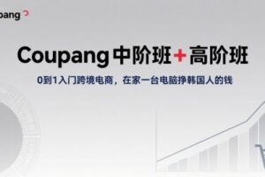 Coupang中阶班+高阶班，0到1入门跨境电商，在家一台电脑挣韩国人的钱
