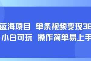 8月AI蓝海项目，单条视频变现1k+ 小白可玩 操作简单易上手