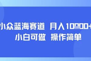 小众蓝海赛道，小白可做，操作简单，每天30分钟，月入1W+