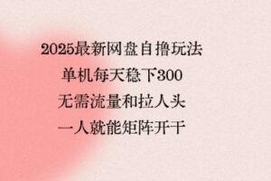 2025最新网盘自撸玩法，单机每天稳下3张，无需流量和拉人头，一个人就可轻松矩阵，全网独一份【揭秘】