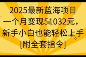 2025最新蓝海项目一个月变现1w+新手小白也能轻松上手【附全套指令】
