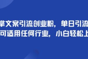 手掌文案引流创业粉，单日引流100+，可适用任何行业，小白轻松上手