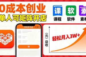 （16047期）拼多多虚拟电商，0成本，单人可矩阵开店，轻松月入3W+