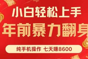 （16080期）七天狂赚8600，小白纯手机操作，日入1000+