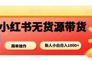 小红书无货源带货项目，简单无脑，新人小白日入多张