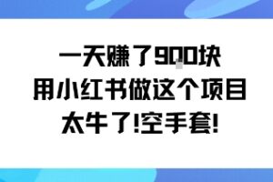 一天挣了9张用小红书做这个项目太牛了，空手套