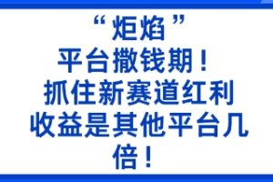 “炬焰”：平台撒钱期！抓住新赛道红利，5分钟二创内容，收益是其他平台几倍！
