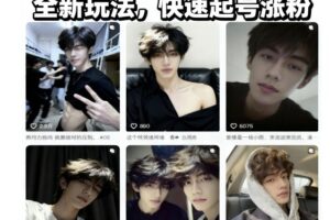 AI男颜涨粉短视频教学，全新玩法，快速起号涨粉