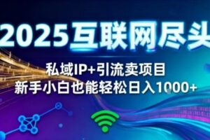 2025网创尽头王炸项目！私域IP+精准引流，新手小白在家躺賺日入1k，零经验也能上手【揭秘】