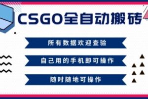 CSGO全自动搬砖，年底钱回家好项目，当天可拿到结果，新手小白轻松月入1W+【揭秘】