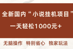 全新国内小说挂G项目，多窗口无脑跑，一天轻松1k+，特别省心【揭秘】