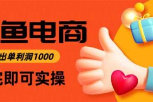 （16872期）闲鱼高利润电商，当天上架当天出单，一单利润300