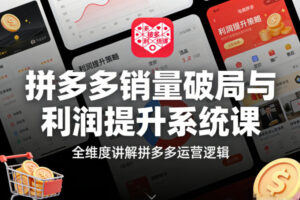 拼多多销量破局与利润提升系统课，全维度讲解拼多多运营逻辑